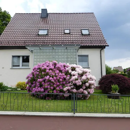 Baier Erbach (Odenwaldkreis)