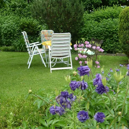 Baier * Erbach (Odenwaldkreis)